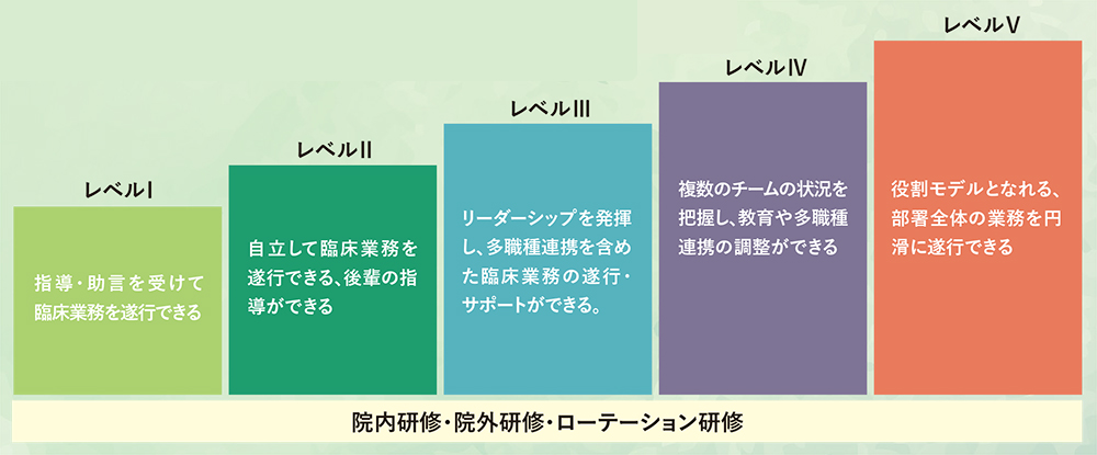クリニカルラダーシステム導入